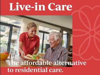 image for what's new at Dovida